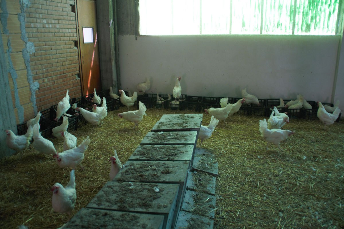 lagabia_06-4