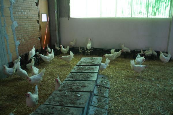 lagabia_08-4